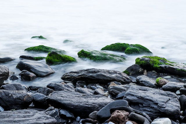 Serene rocks on lake